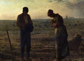 2024基進文化政策─追及權、乙方法案