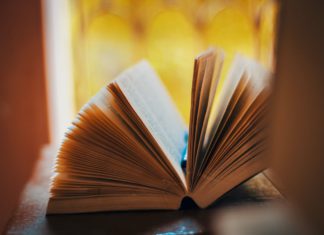 2024基進母語政策