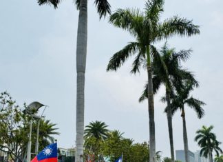 重蹈覆轍的十年