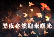 【黑夜必然迎來曙光】